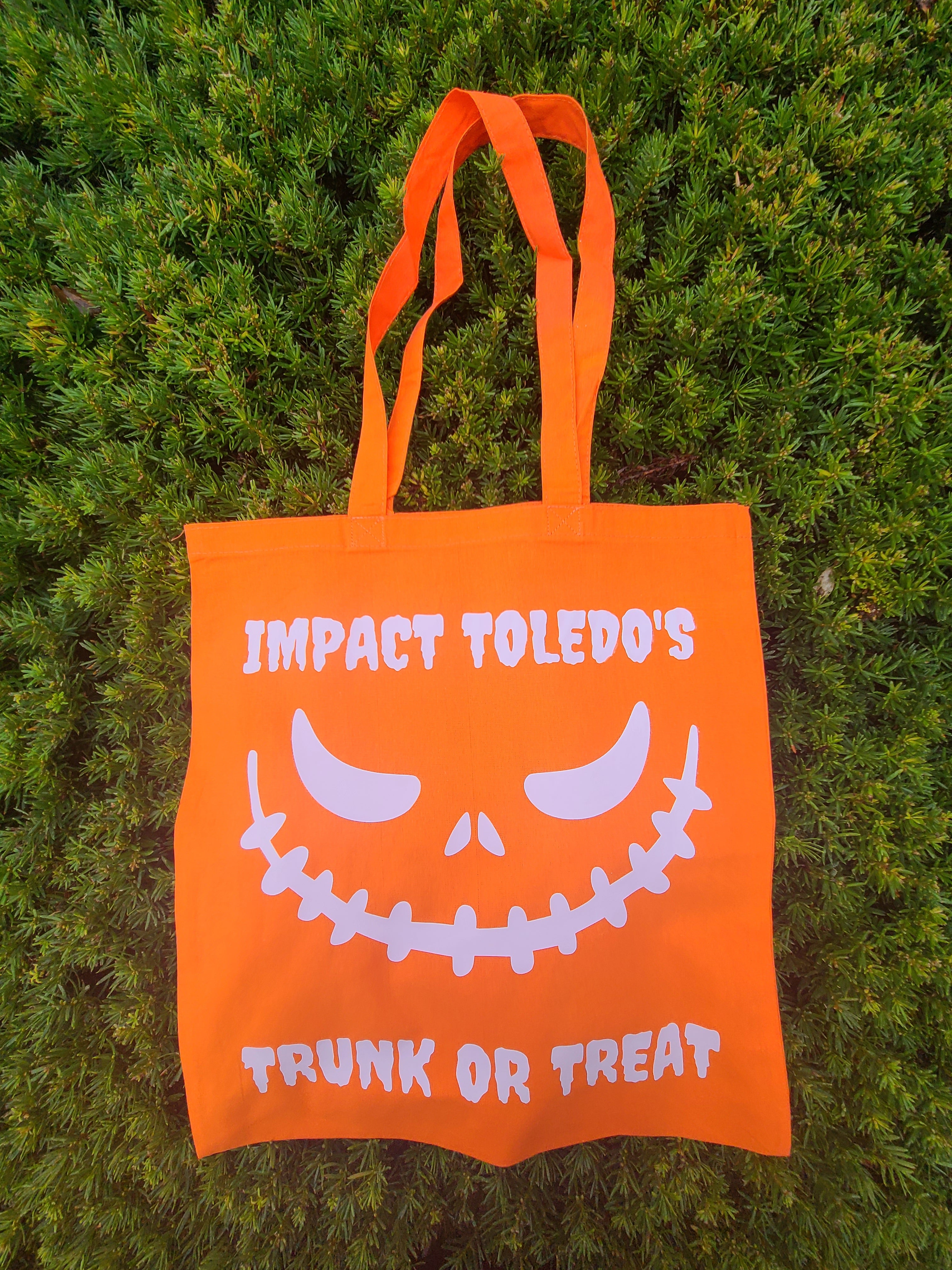 Glow In The Dark Trick or Treat Bag