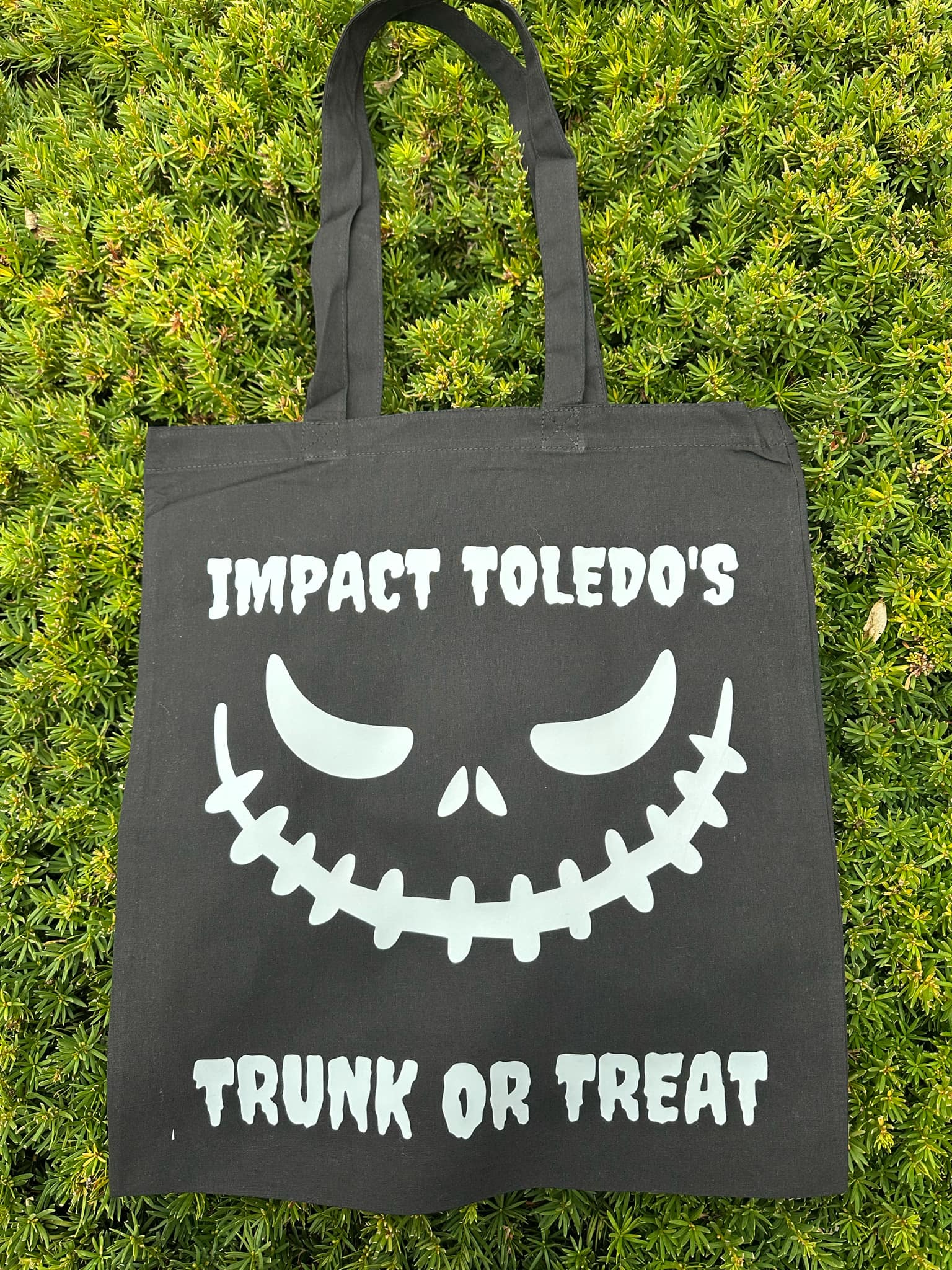 Glow In The Dark Trick or Treat Bag