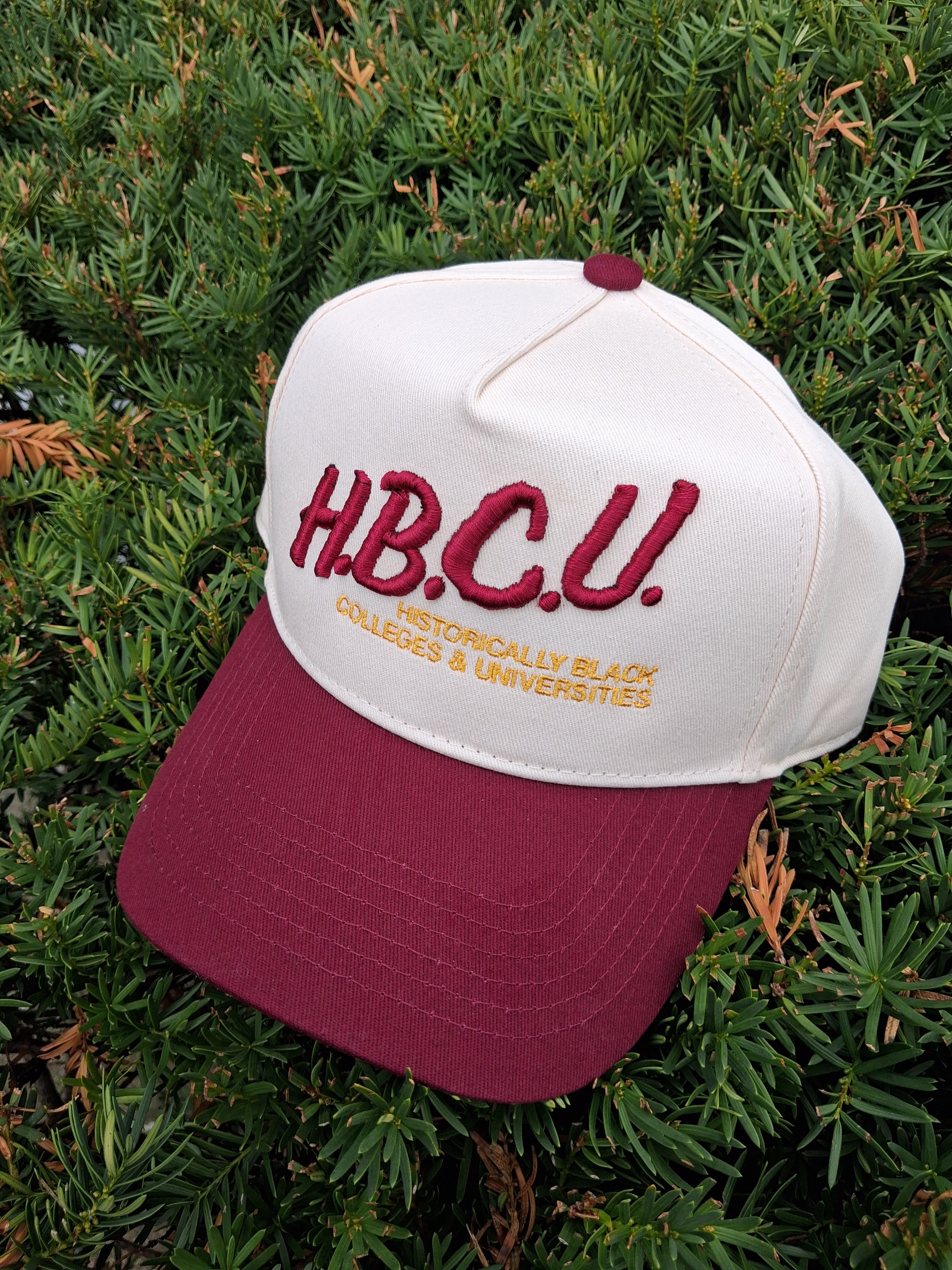 I Love My HBCU