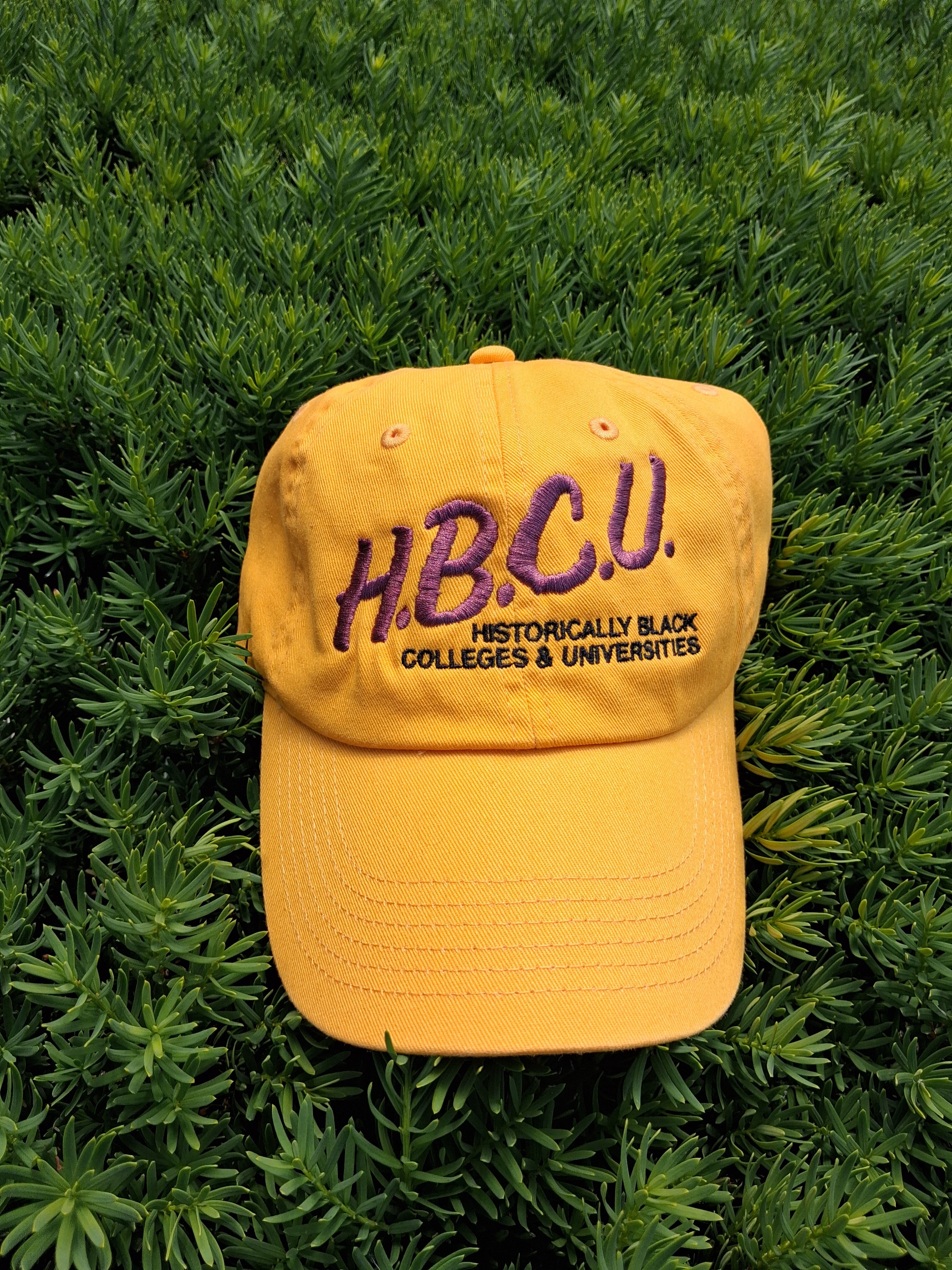 I Love My HBCU