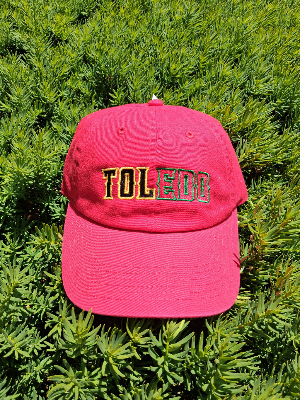 TOL-EDO