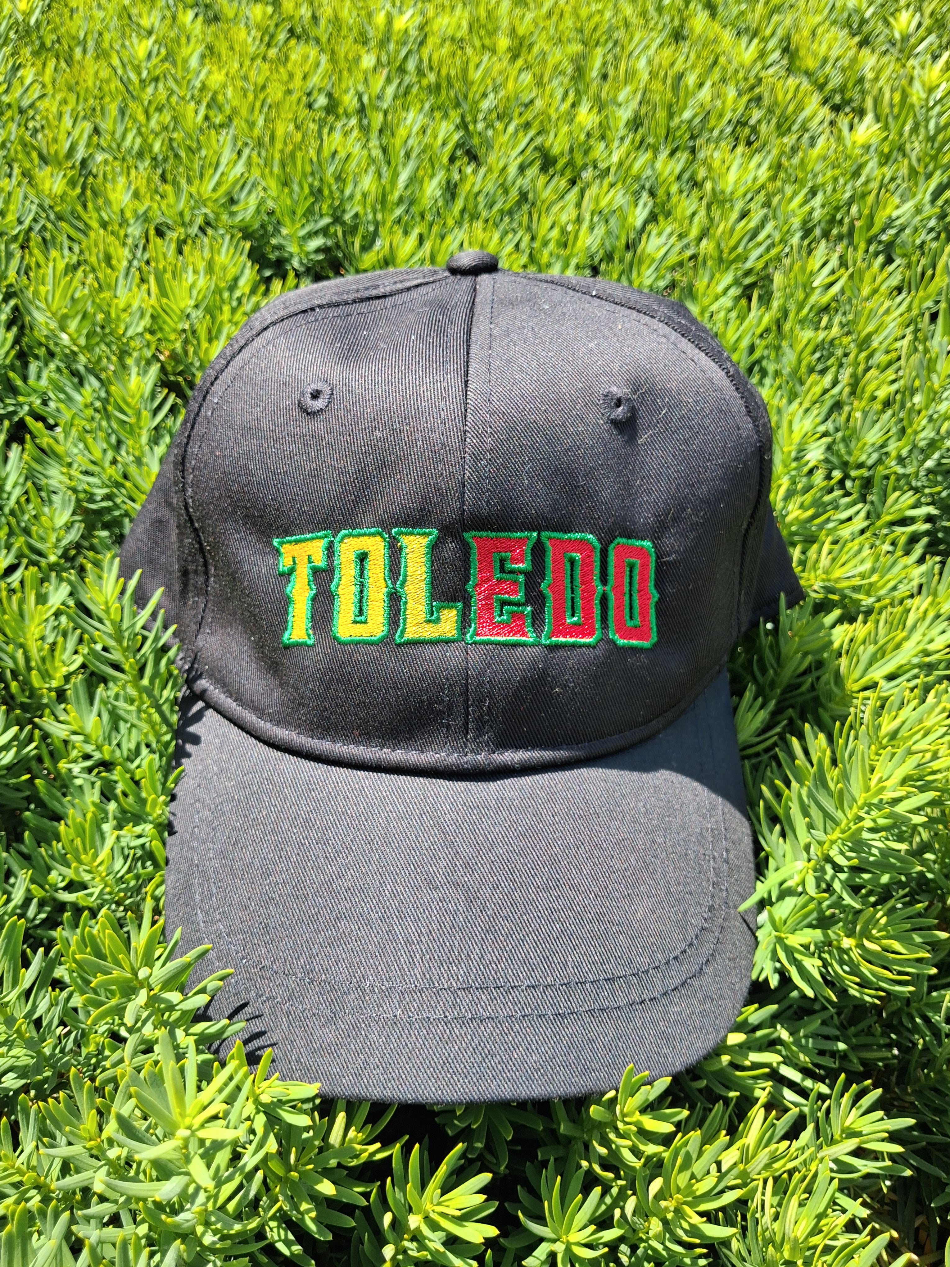 TOL-EDO