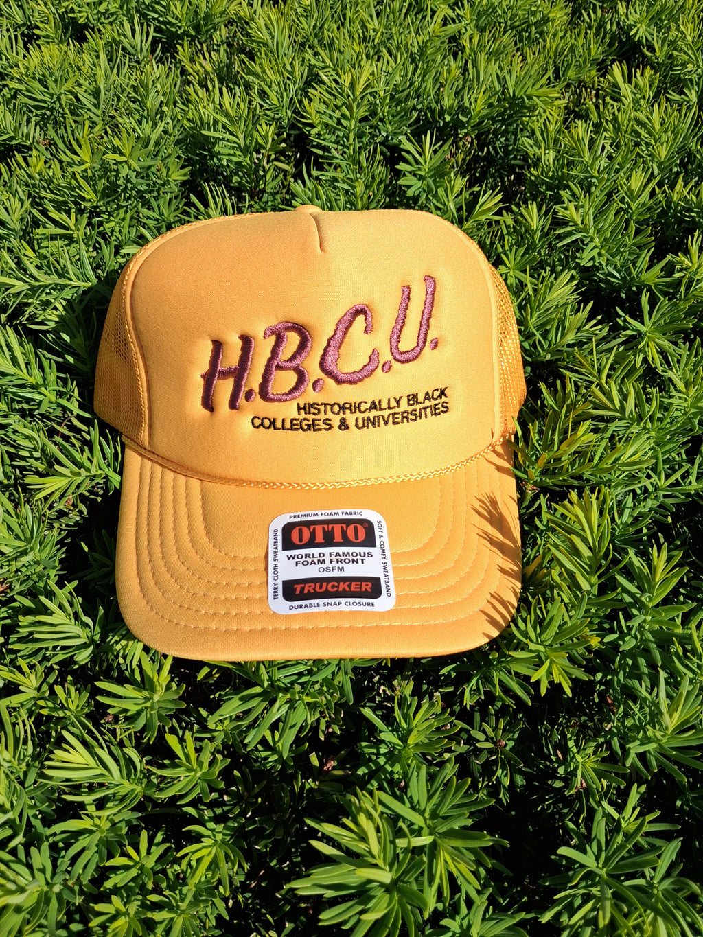 I Love My HBCU