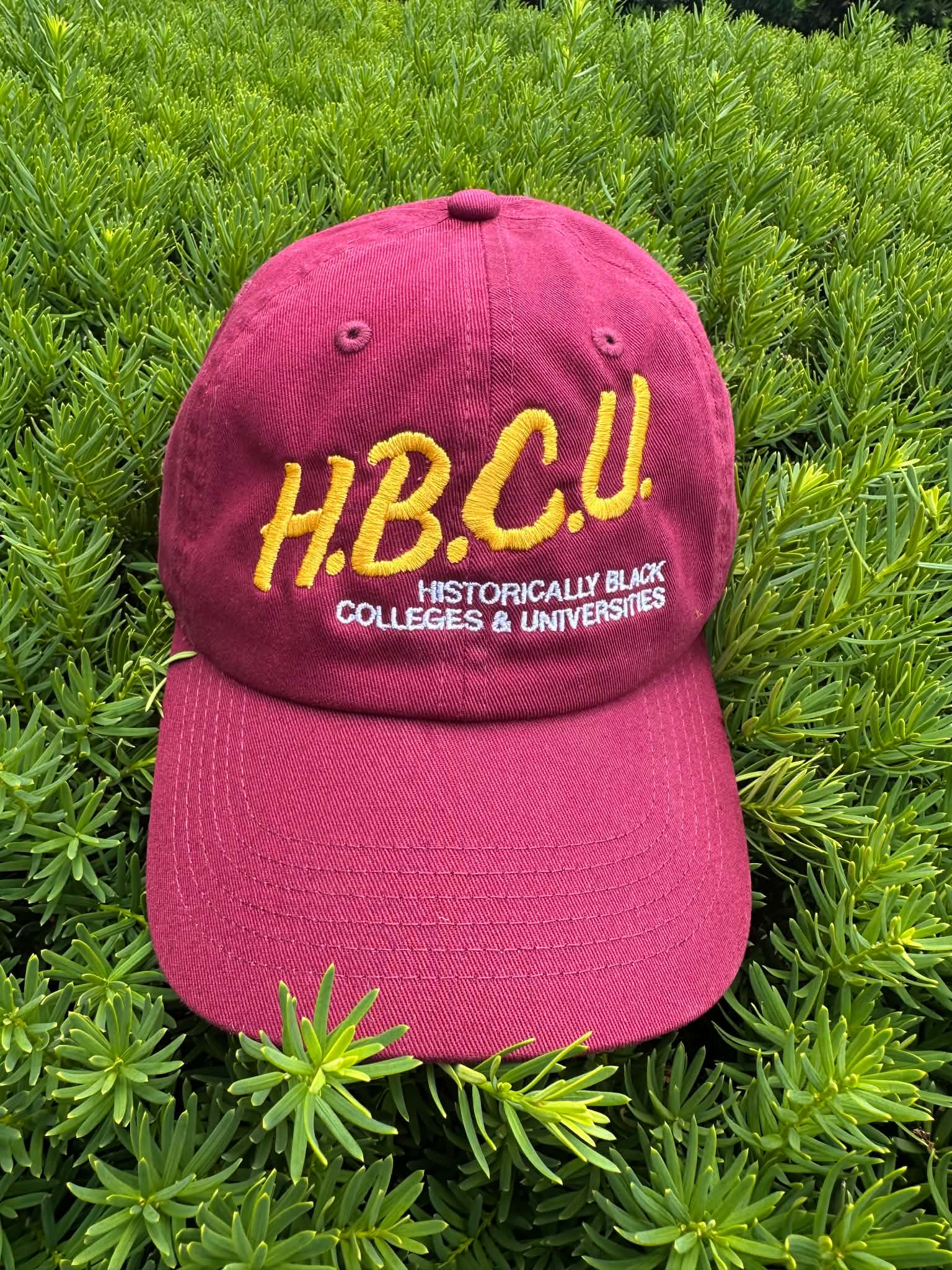I Love My HBCU