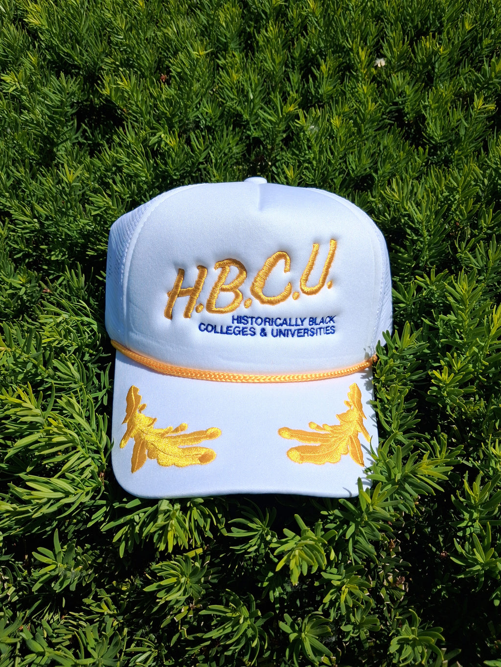 I Love My HBCU