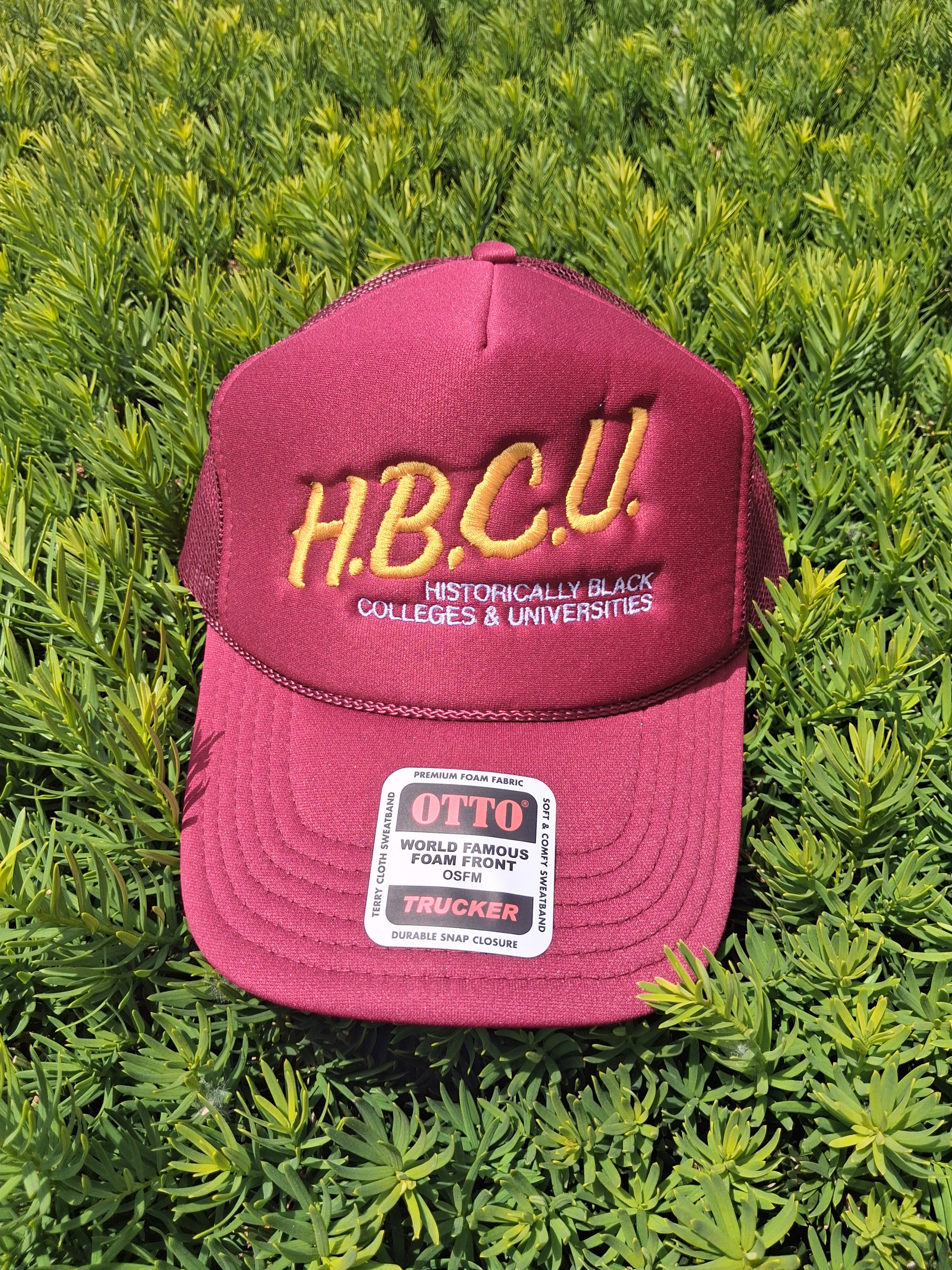 I Love My HBCU