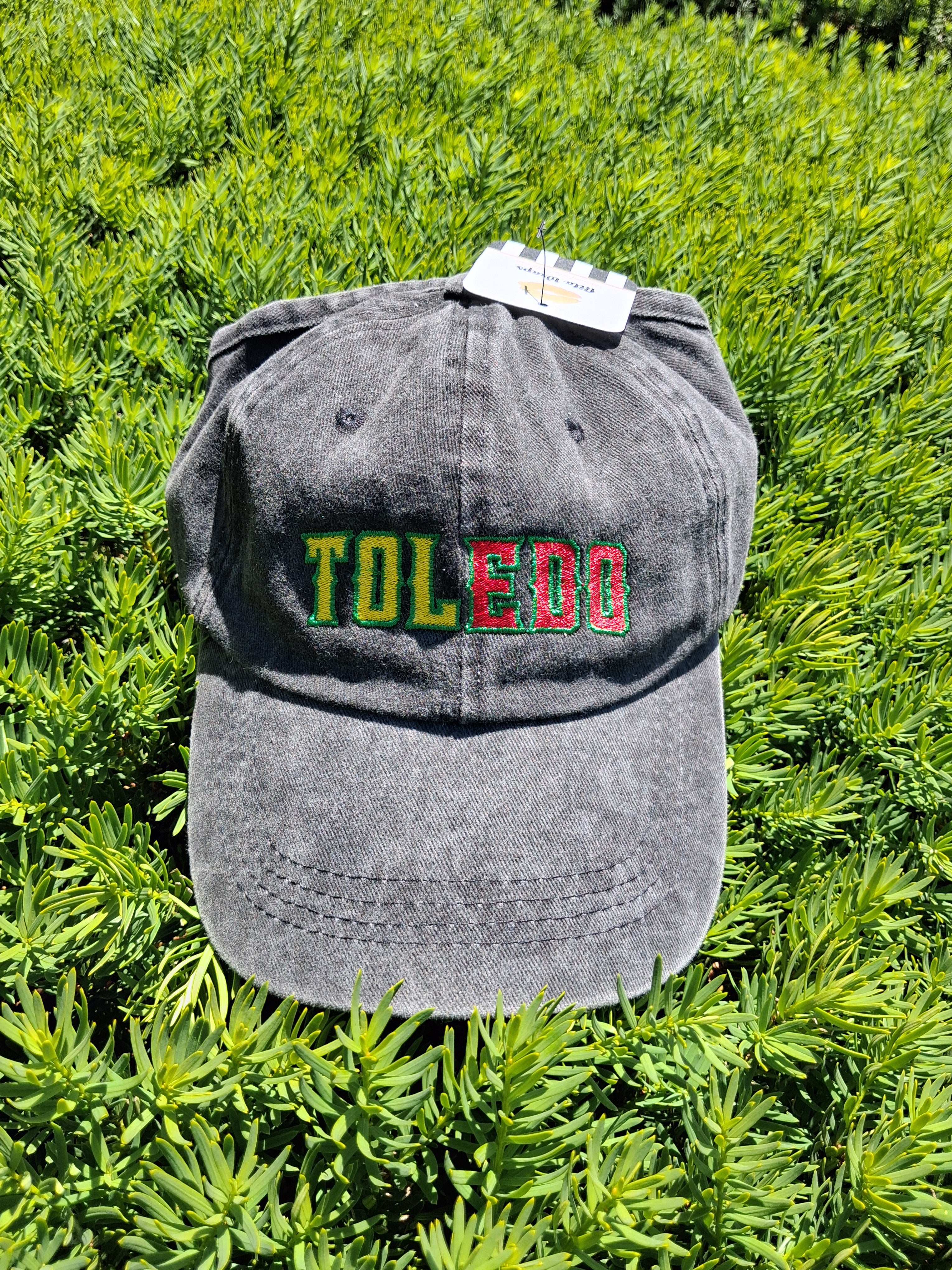 TOL-EDO