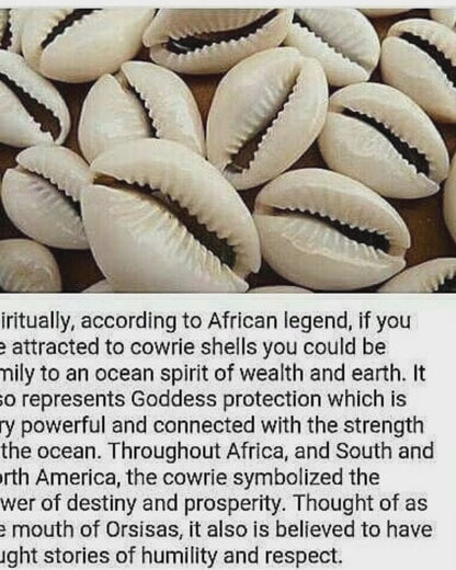 Cowrie Shell Anklet
