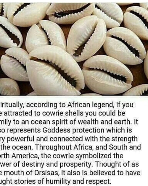 Cowrie Shell Anklet