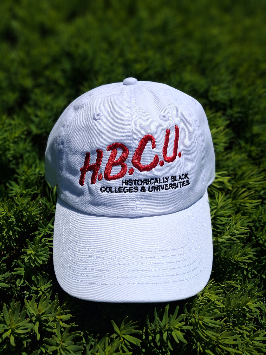 I Love My HBCU