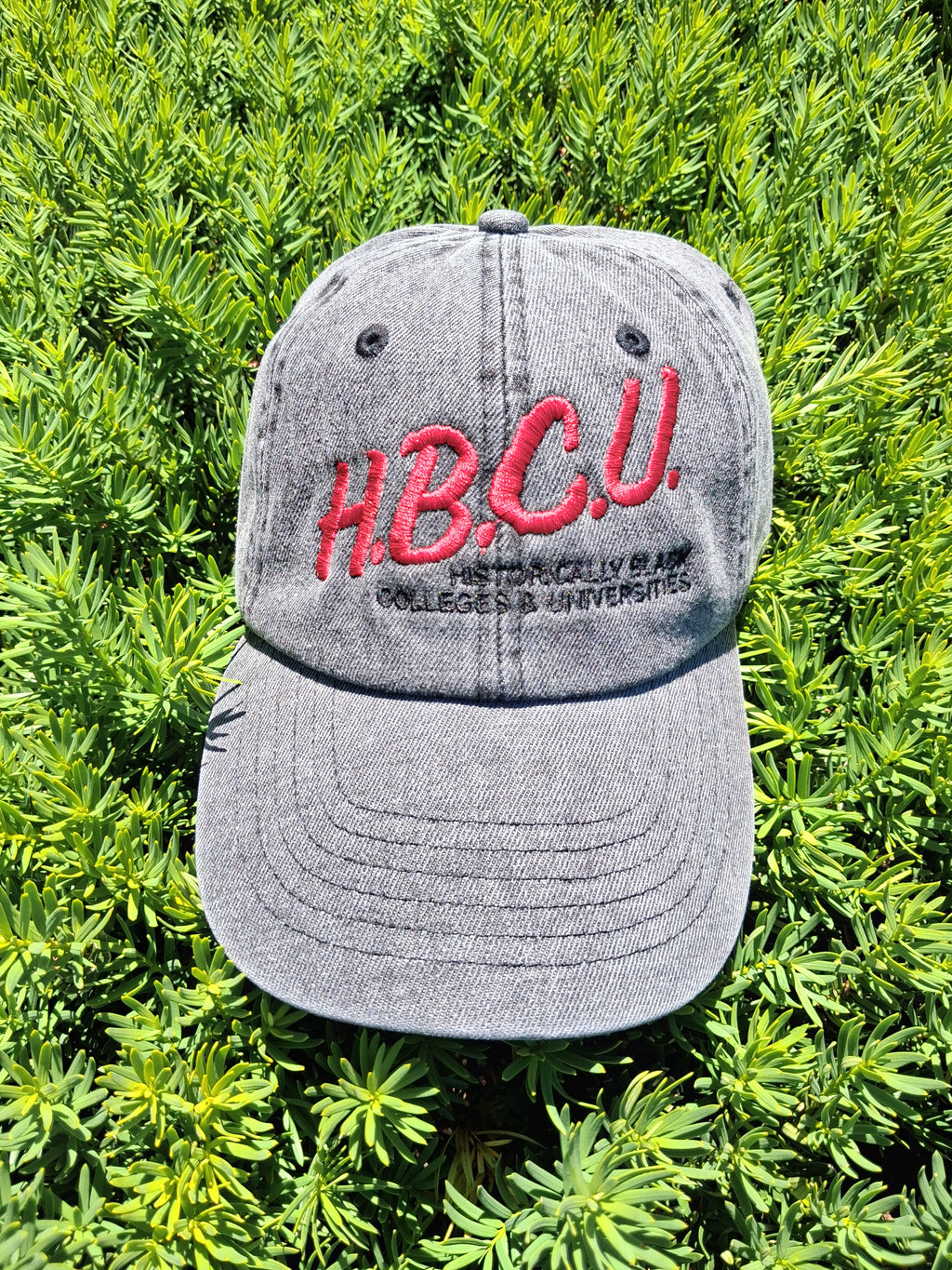 I Love My HBCU