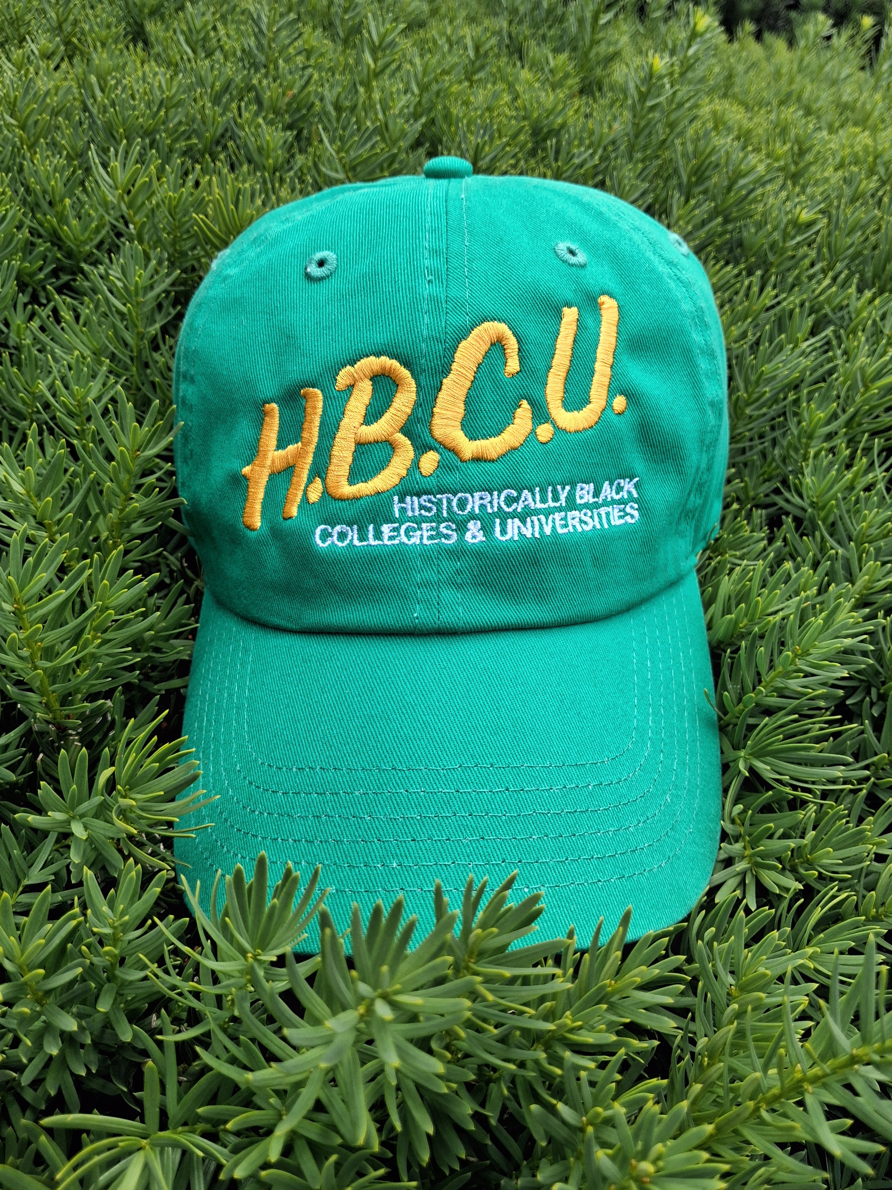 I Love My HBCU