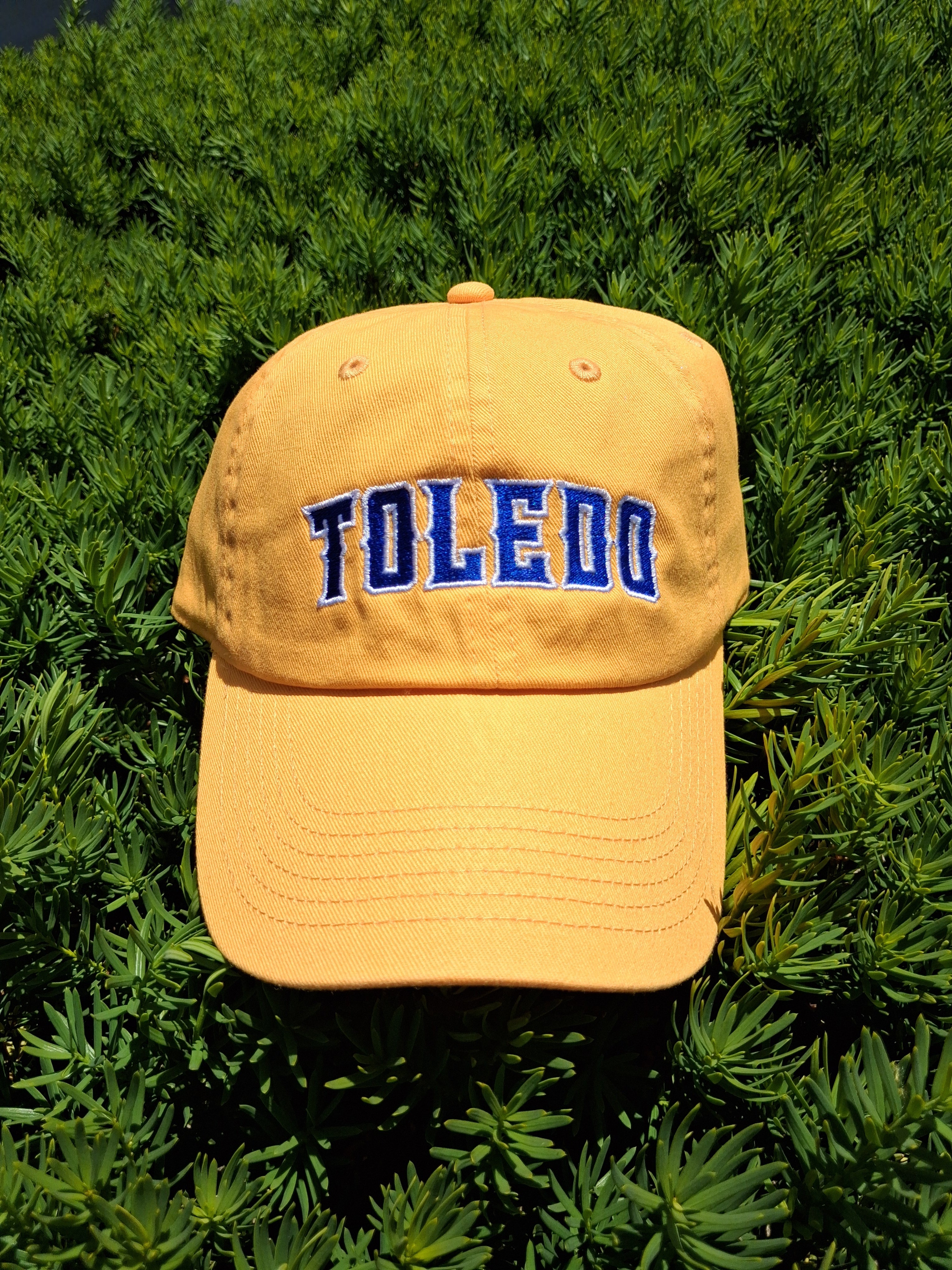 TOL-EDO