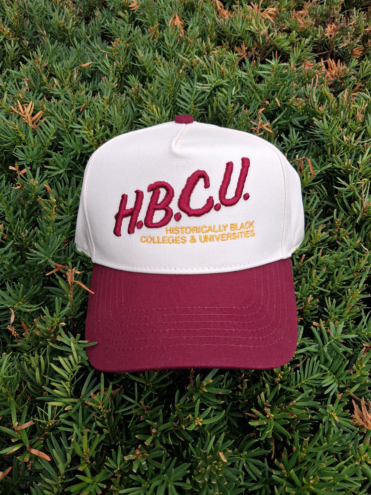 I Love My HBCU