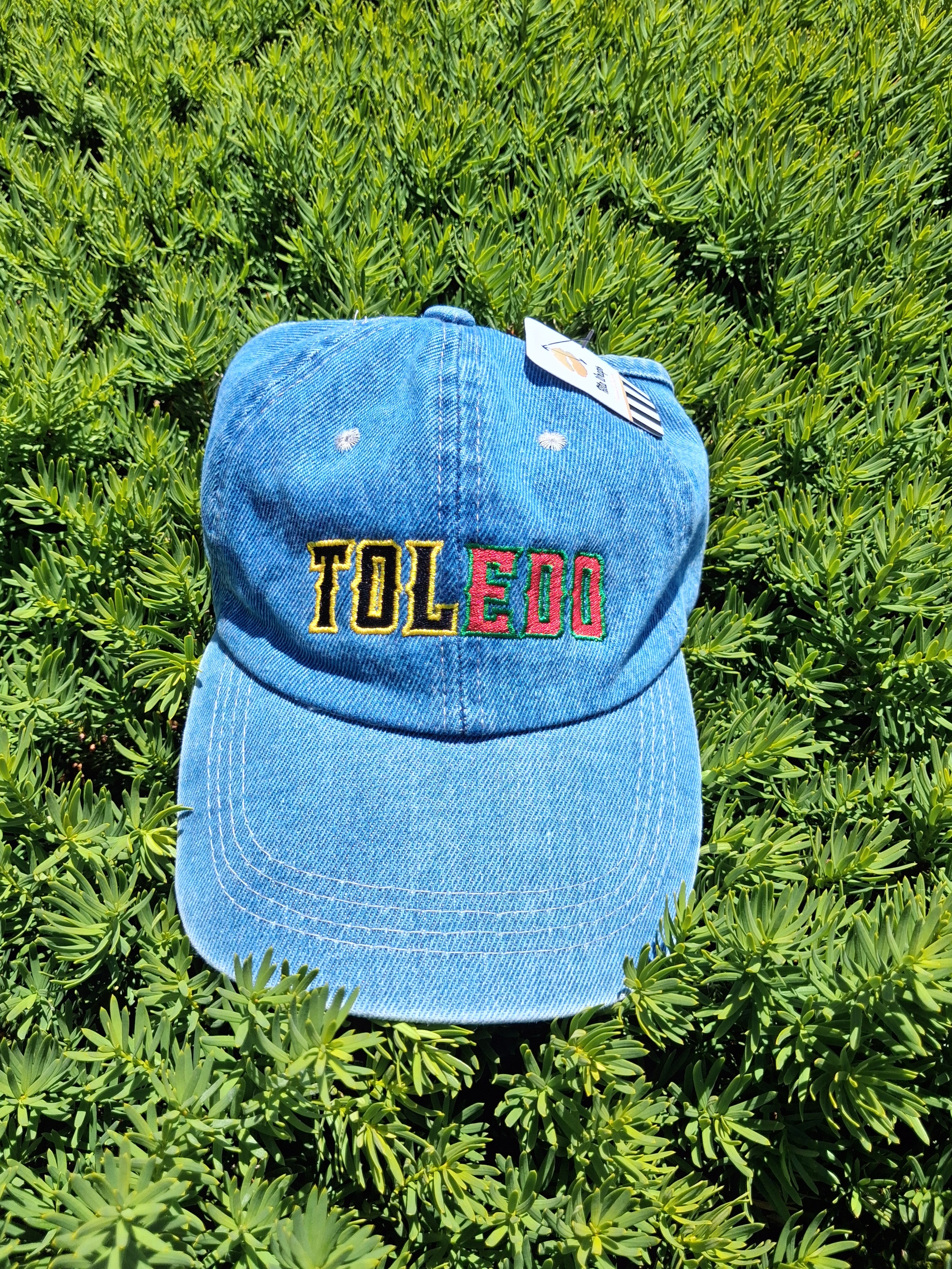 TOL-EDO