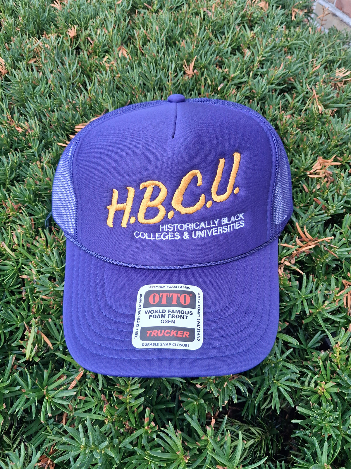 I Love My HBCU