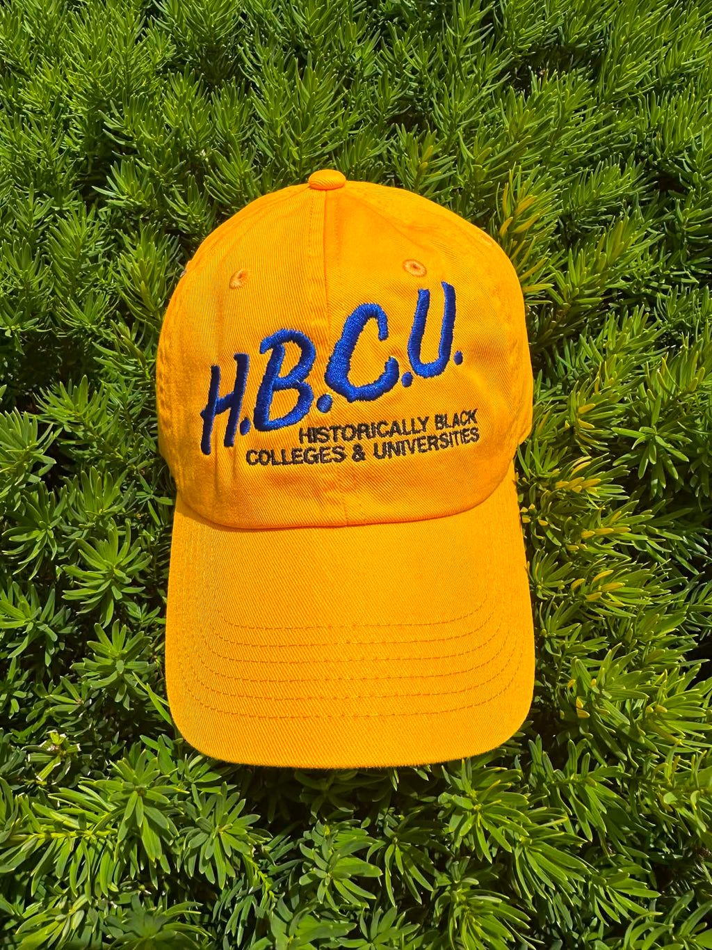 I Love My HBCU