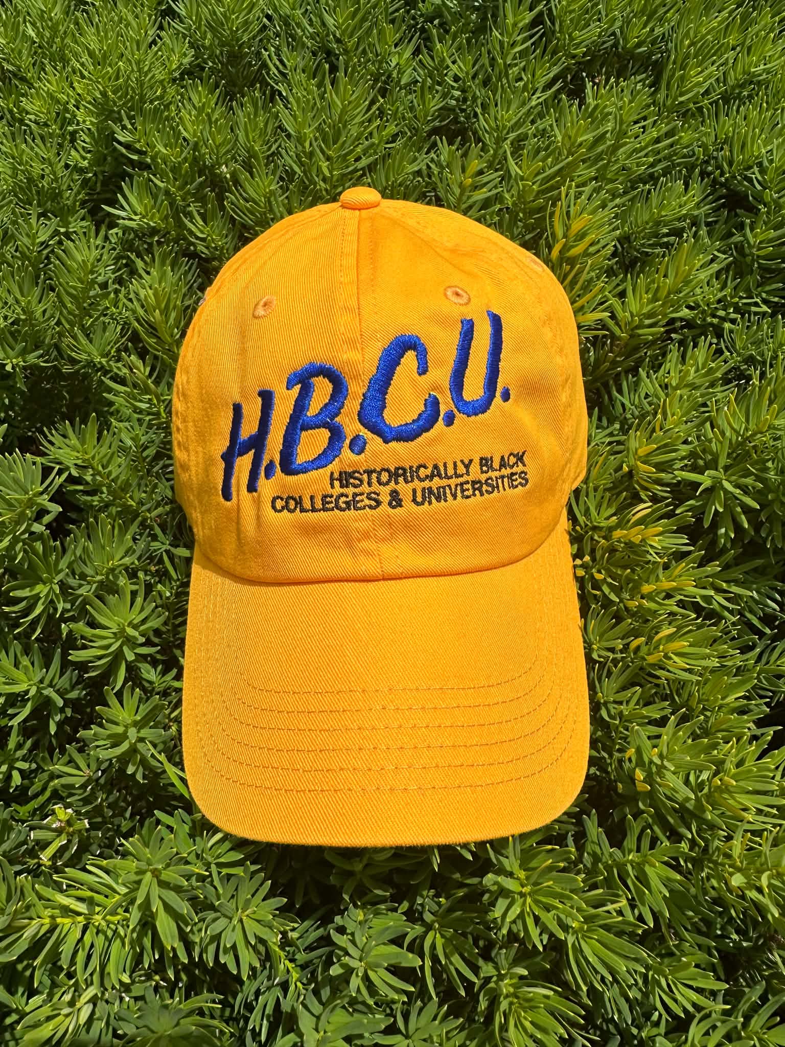 I Love My HBCU